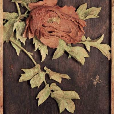 S025 48x38x4cm 