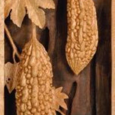 H012 82x22x7cm 2010
