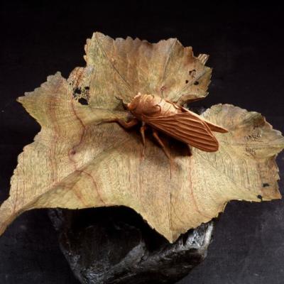 S037 28x22x12cm 2006