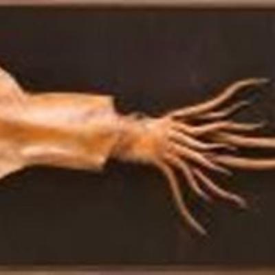 S016 54x22x6cm 2009