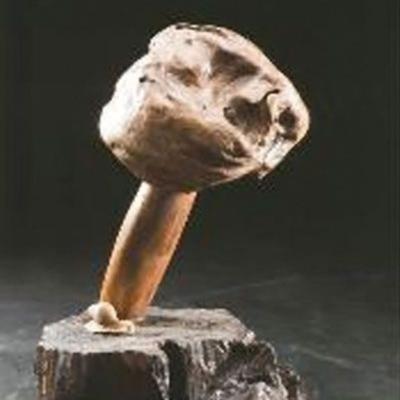 S010 35x23x19cm 2009