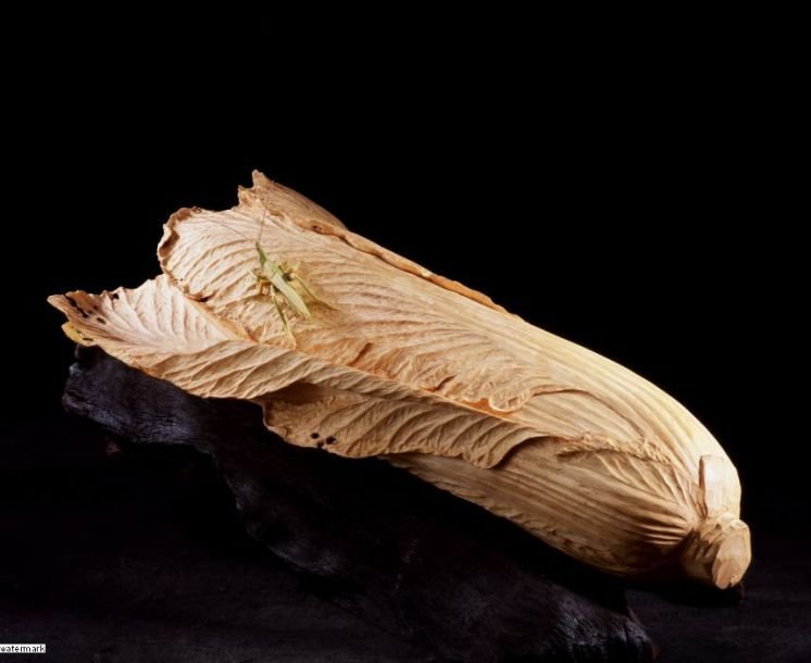 S004 黃媽慶 --- 白菜 55x26x20cm 檜木 2007